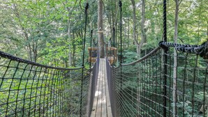 A suspension bridge in a forest with a wooden platform at the end. - The Country Club Treehouse (Rockbridge)
