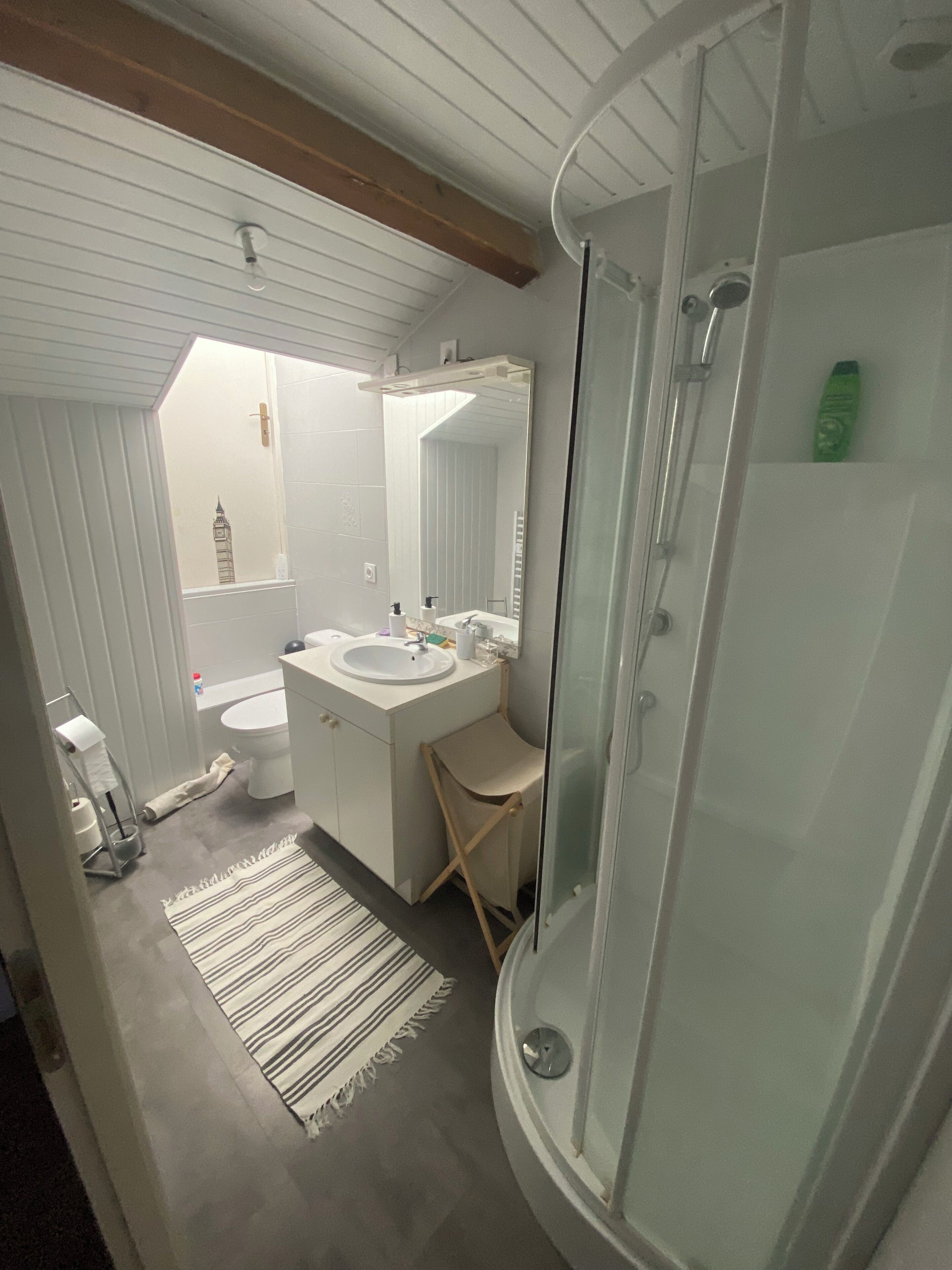 Shower, towels, toilet paper