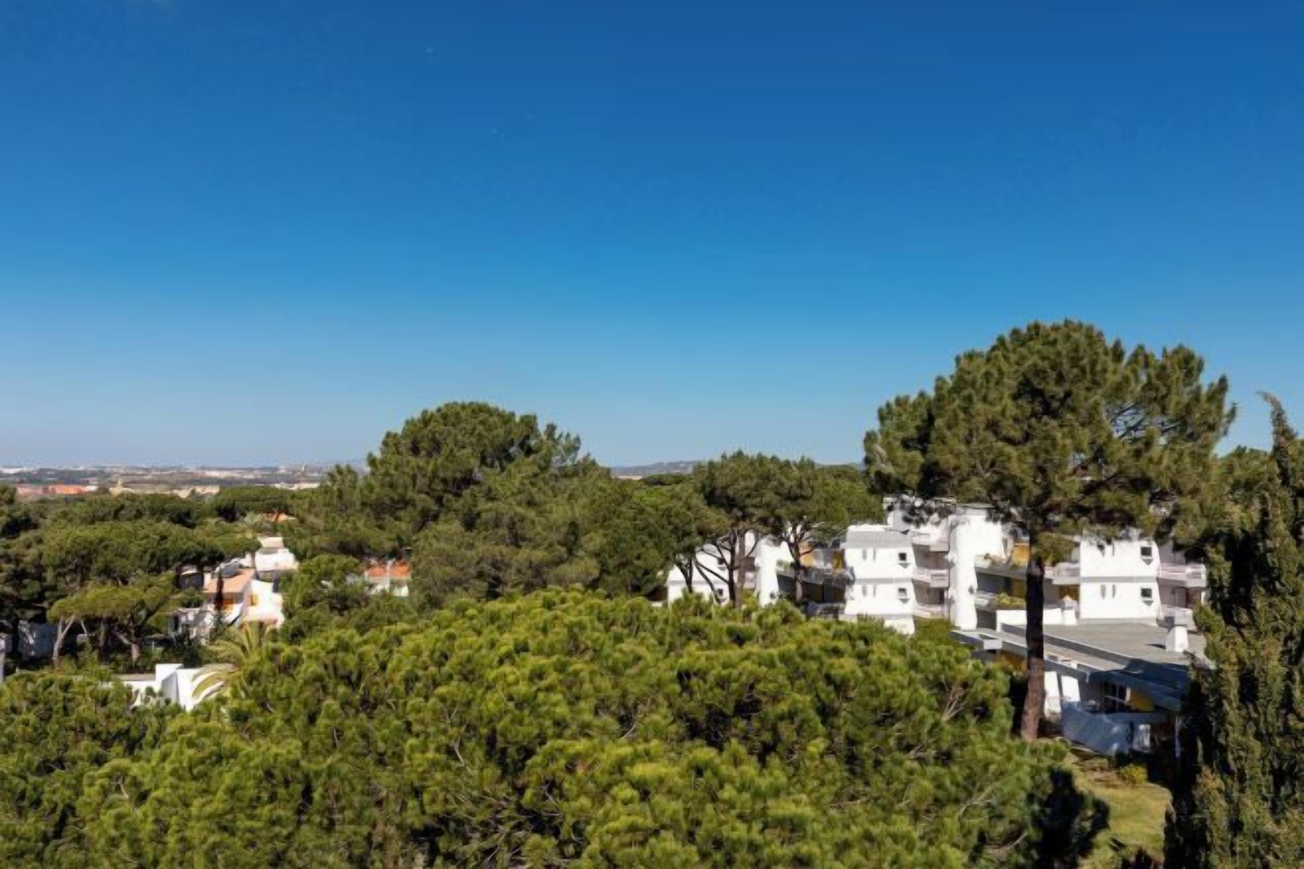 A residential area with white buildings surrounded by dense green trees.