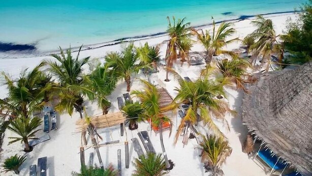 A beach with white sand, palm trees, and a thatched-roof structure. - KAE2 (Michamvi)