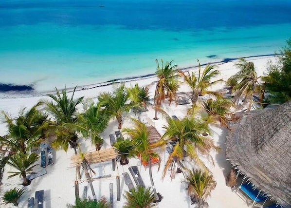 Basic Single Room, Beach View | Beach/ocean view