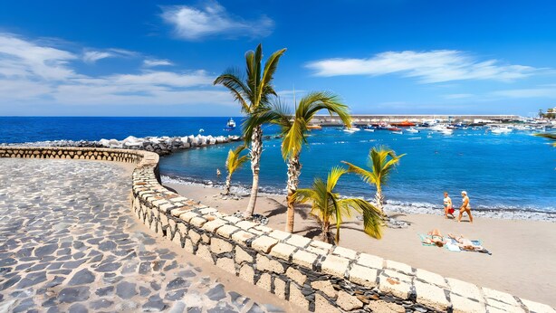 A beach with palm trees, a stone wall, and a clear blue sky. - Luxury Penthouse Plaza Apartment with Mountain View, Private Terrace, and Wi-Fi (Playa San Juan)