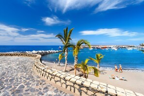 On the beach - Luxury Penthouse Plaza Apartment with Mountain View, Private Terrace, and Wi-Fi (Playa San Juan)