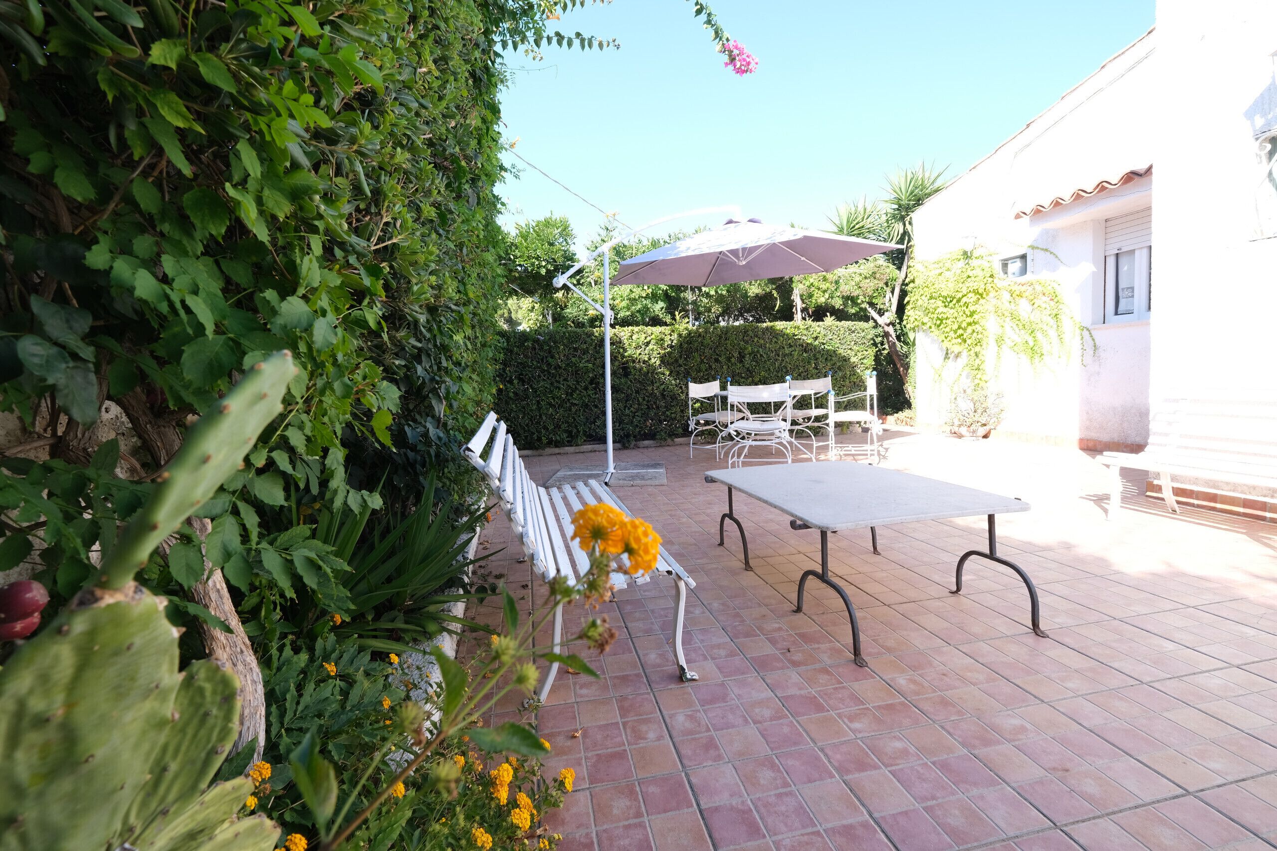 An outdoor patio with a white table and bench, surrounded by greenery and a white building.
