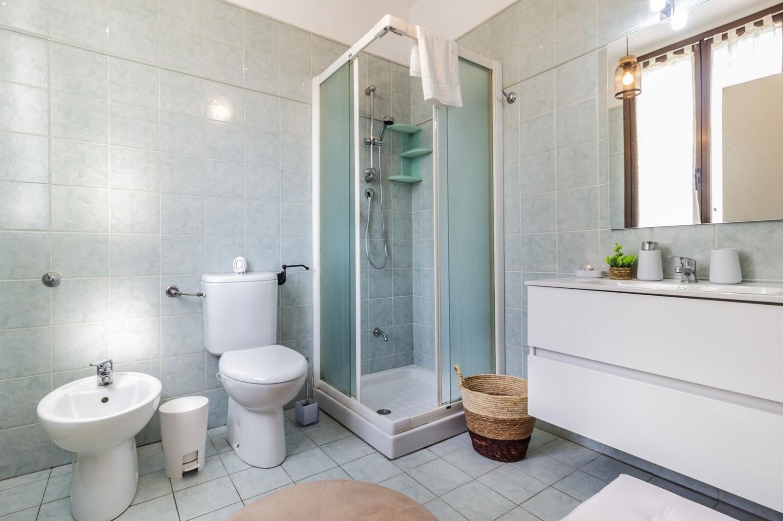 Shower, hair dryer, bidet, towels