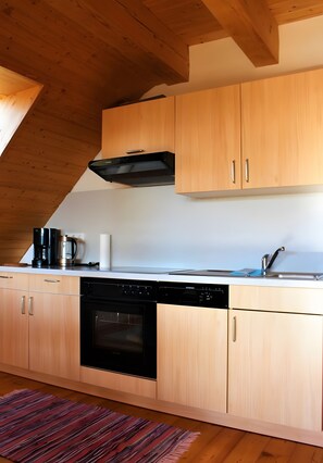 Fridge, oven, stovetop, dishwasher