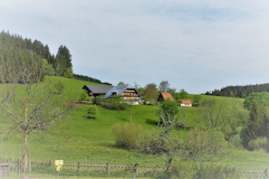 Ein ländliches Haus mit geneigtem Dach, umgeben von grünen Feldern und Bäumen.