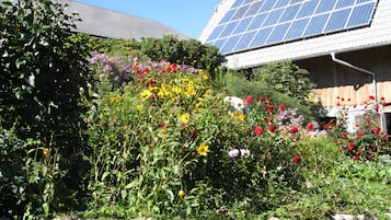 Jardines del alojamiento