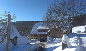 Exterior - Holiday Apartment 'Rusticana' with Mountain View, Shared Terrace and Wi-Fi (Schonach)