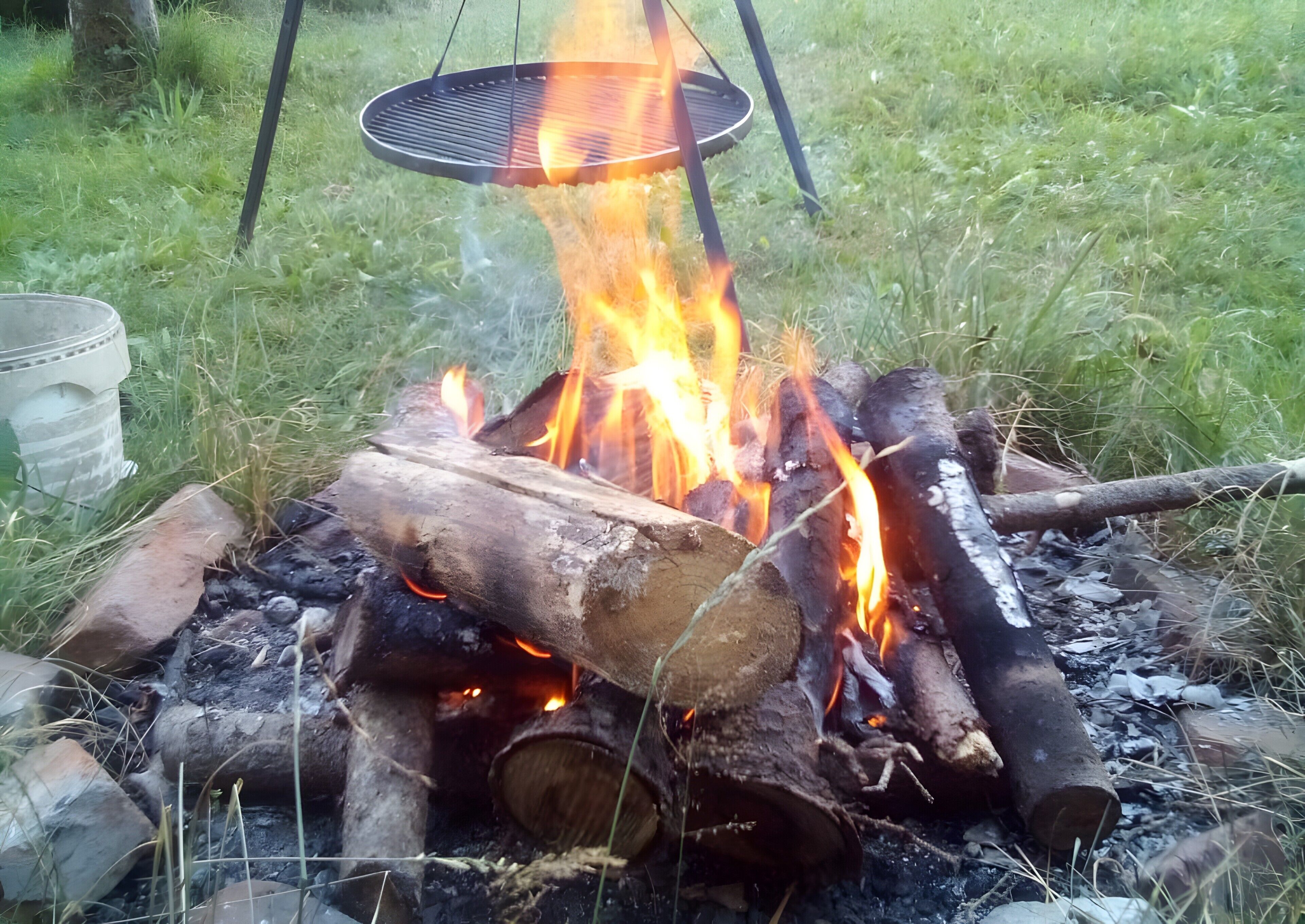 A campfire with logs and a grill, surrounded by grass.