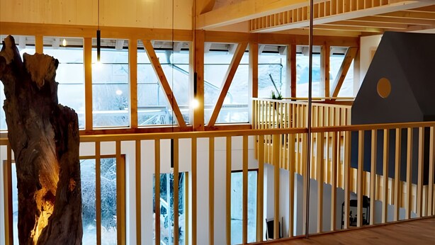 A spacious interior with wooden floors and a large tree trunk sculpture.