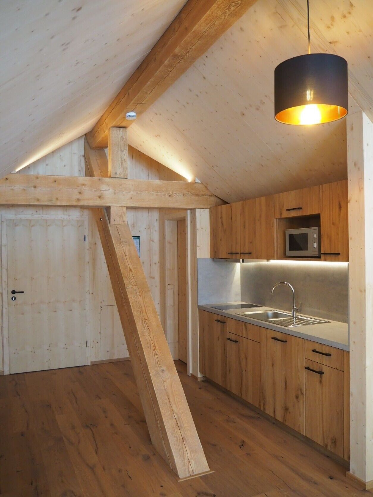 Réfrigérateur, micro-ondes, plaque de cuisson, lave-vaisselle