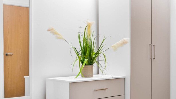 Un comò bianco con un cesto intrecciato che contiene piante verdi ed erba di pampa bianca.