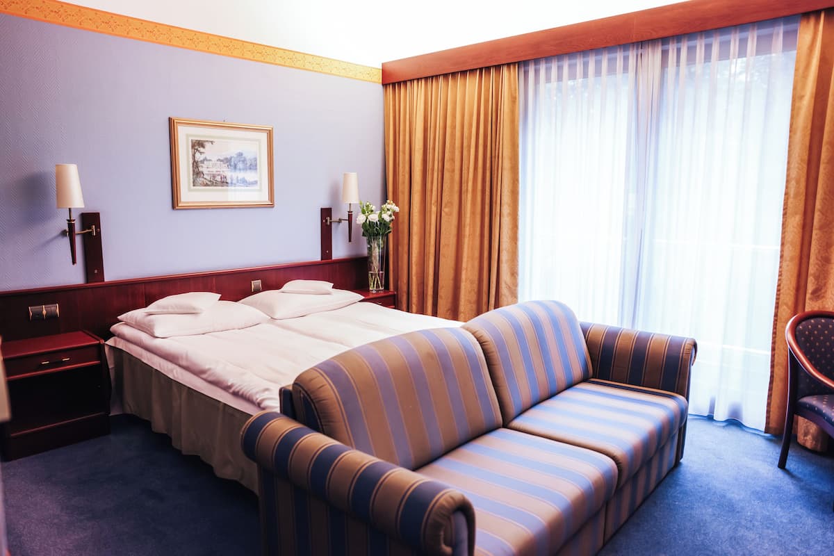 Business Double Room | Iron/ironing board, free WiFi