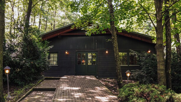 A rustic cabin with a brick pathway leading to the entrance, surrounded by dense forest.