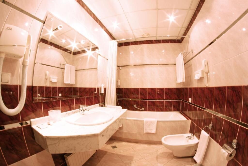 Business Double Room | Bathroom
