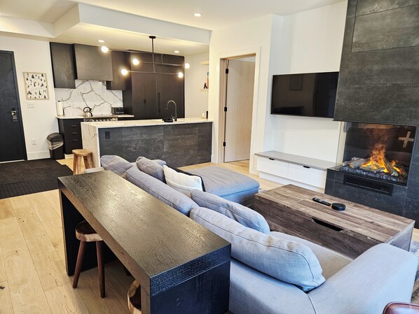 TV, fireplace, books