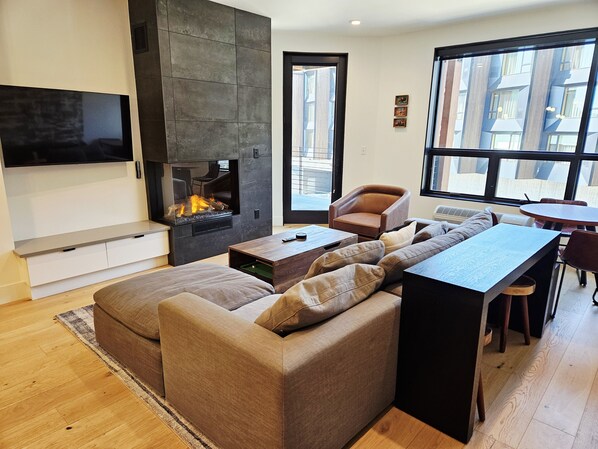 TV, fireplace, books