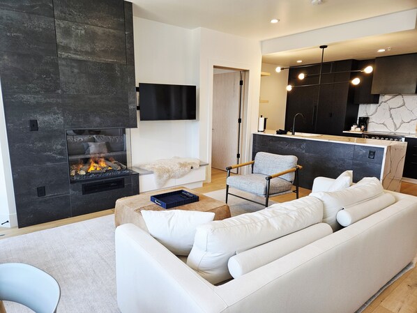 TV, fireplace, books