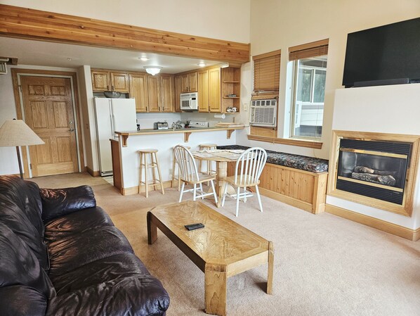 TV, fireplace, books