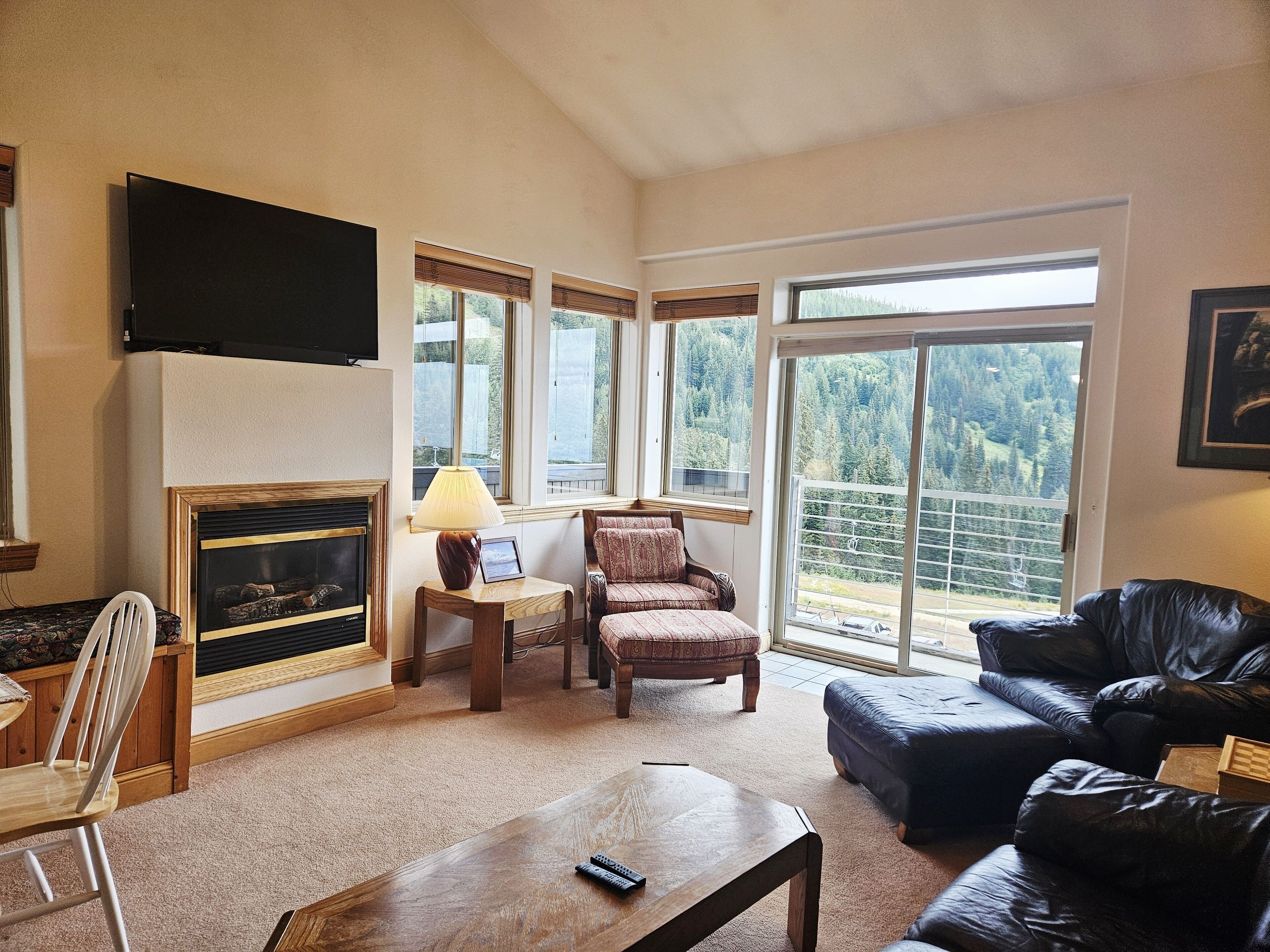 TV, fireplace, books