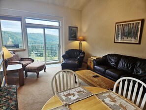 TV, fireplace, books