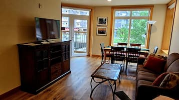 TV, fireplace, books
