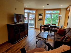 TV, fireplace, books