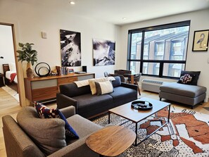 TV, fireplace, books