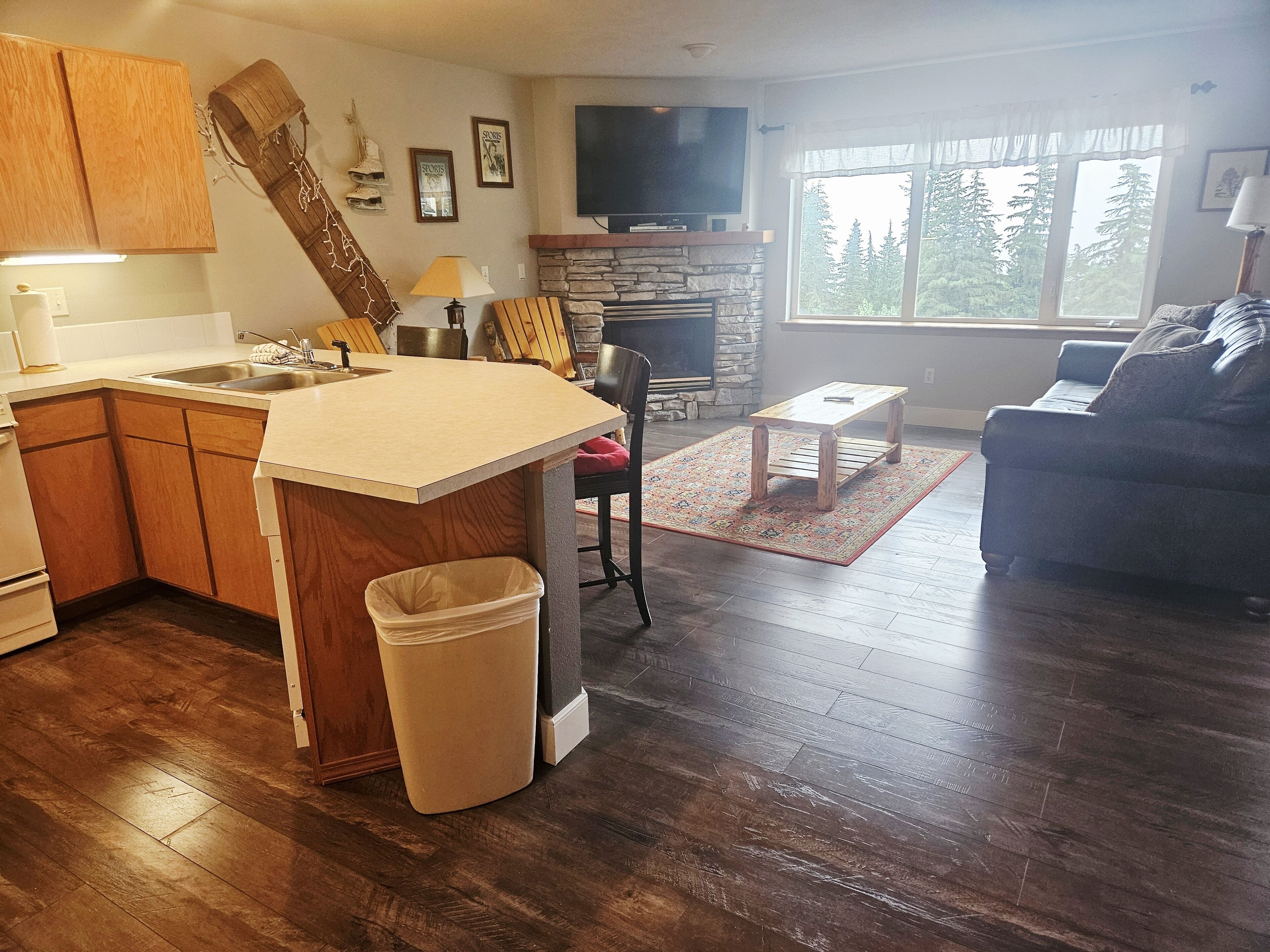 TV, fireplace, books