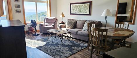 TV, fireplace, books