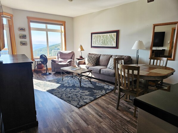 TV, fireplace, books