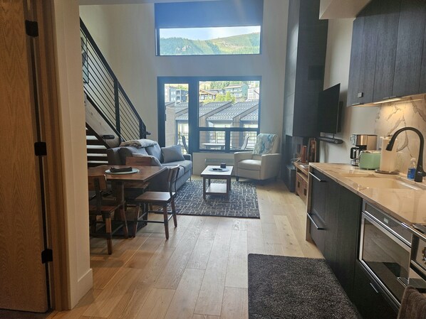 TV, fireplace, books