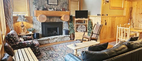 TV, fireplace, books