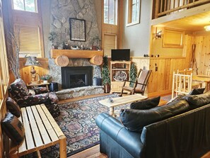 TV, fireplace, books