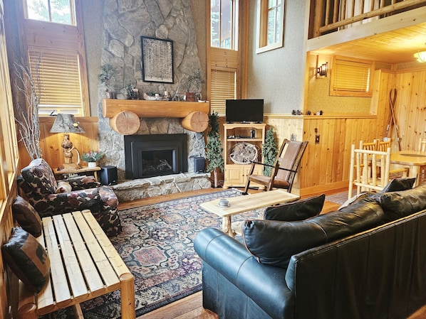 TV, fireplace, books