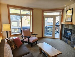 TV, fireplace, books