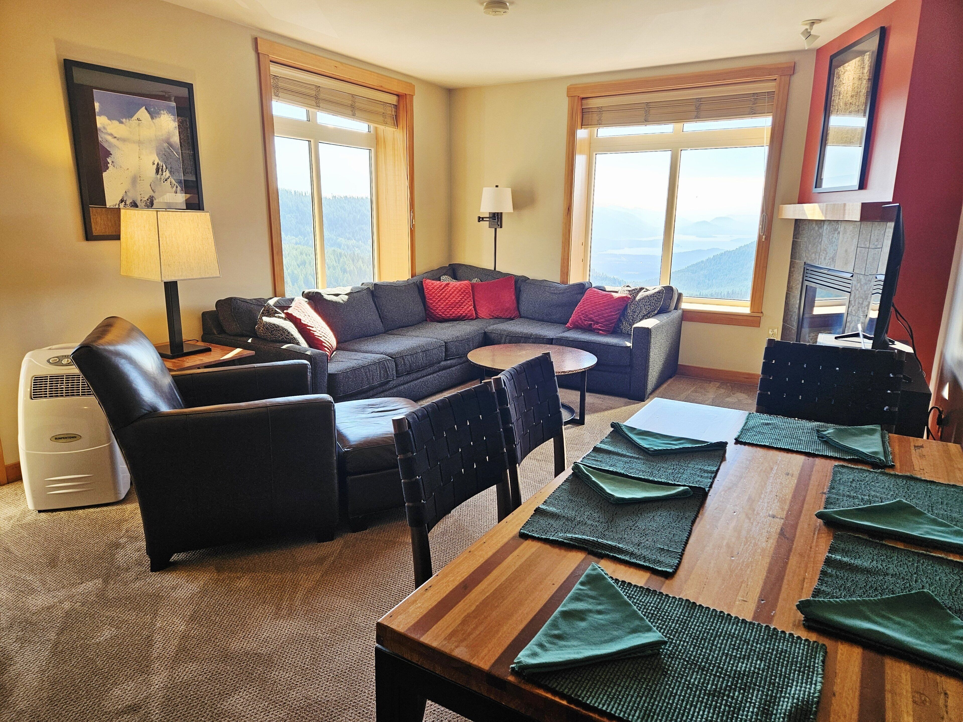 TV, fireplace, books