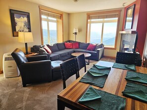TV, fireplace, books