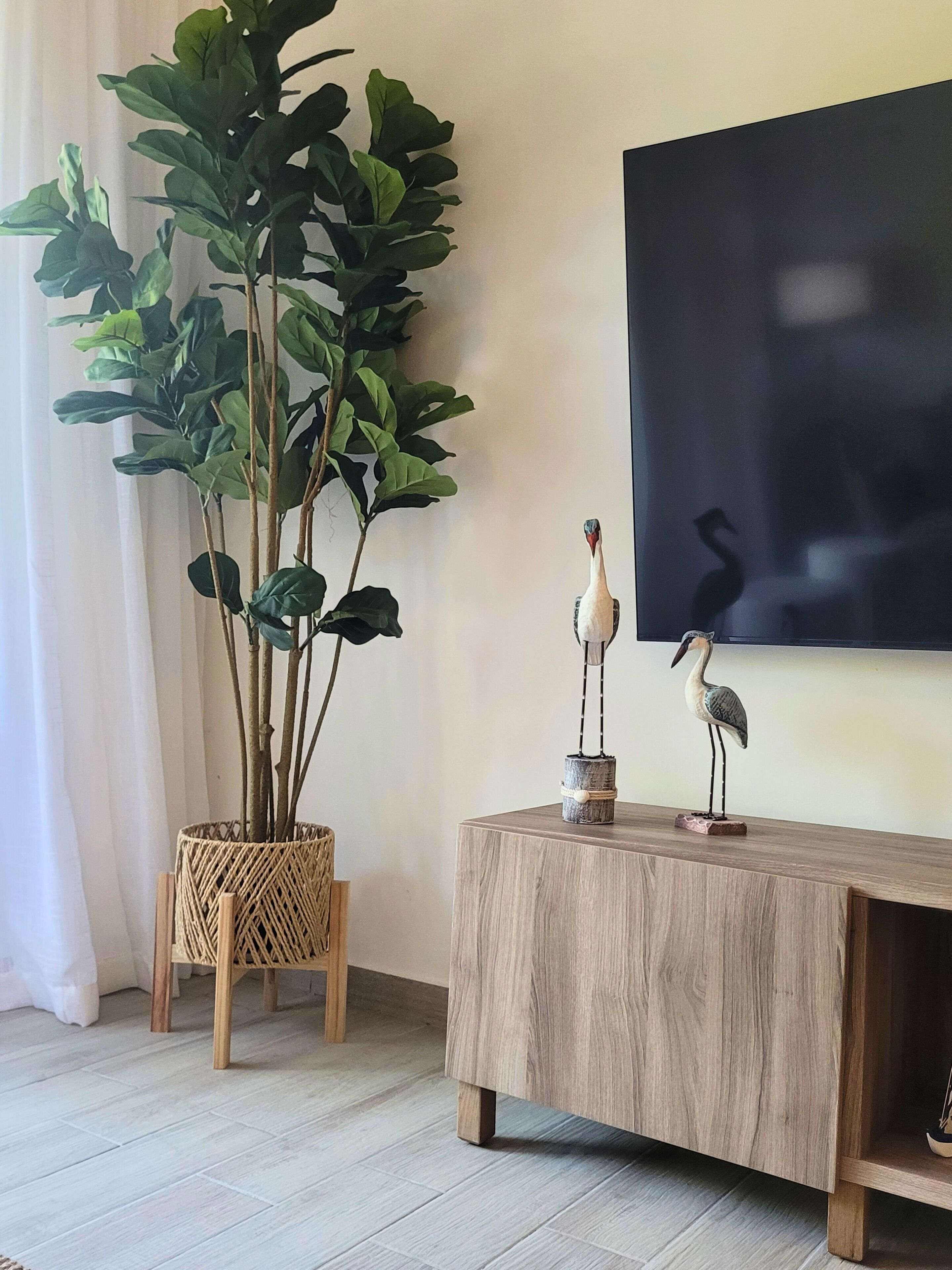 A room with a wooden floor, a woven plant stand, a wooden console table, and a wall-mounted flat-screen TV.