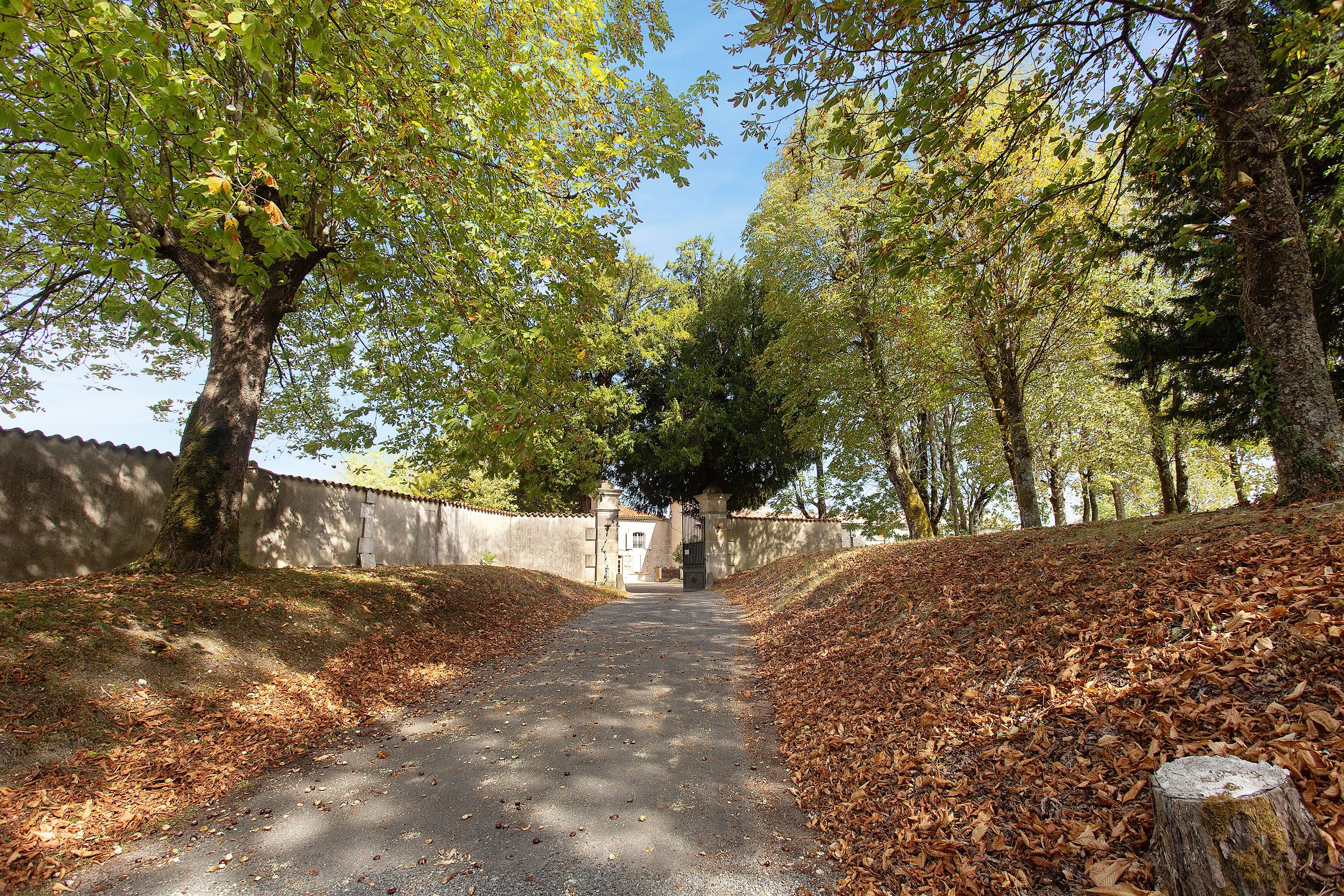 Un sentier bordé d’arbres et d’un mur, qui mène à une porte.
