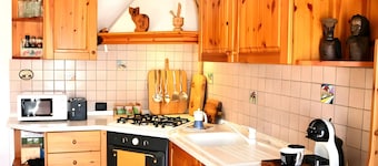 Apartment La Ruota – Skibus and Terrace