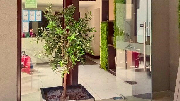 A modern lobby with a potted plant, glass partitions, and green wall accents. - Rosas Confort 409 (Santiago)