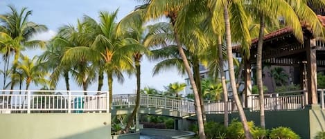 Un área de piscina con palmeras y un puente.