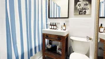 Hair dryer, towels, soap, toilet paper