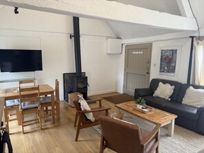 Smart-TV, Kamin