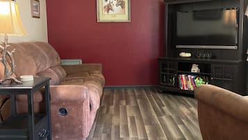 Älytelevisio, takka, DVD-soitin, kirjoja