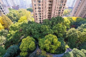 Vista desde la habitación