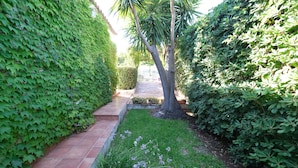 A pathway flanked by lush green foliage and a small tree. - Villetta Blu sul Mare a Fontane Bianche by Wonderful Italy (Syracuse)