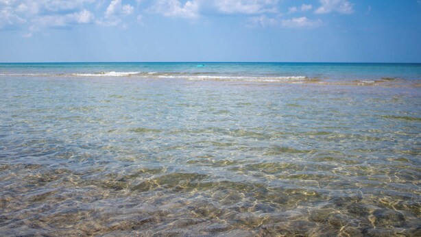 A clear view of a beach with calm waters and a clear sky. - 1000 FT From Lake Michigan, Hot Tub, Golf Cart (Grand Beach)